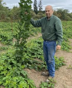 Bob Wilt, Oregon Berry Grower